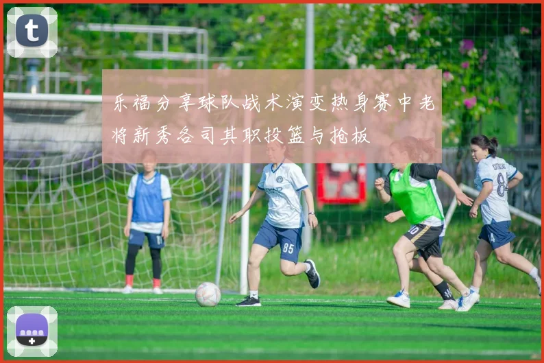 乐福分享球队战术演变热身赛中老将新秀各司其职投篮与抢板