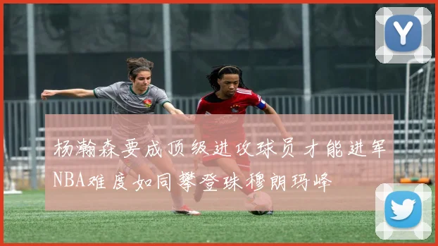 杨瀚森要成顶级进攻球员才能进军NBA难度如同攀登珠穆朗玛峰