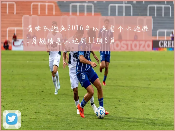 黄蜂队迎来2016年以来首个六连胜1月战绩喜人达到11胜6负